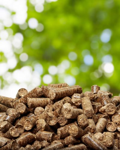 Wood pellets on a green background. Biofuels.